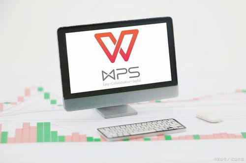 二級WPS Office考試內容詳解 網絡與信息安全軟件開發方向